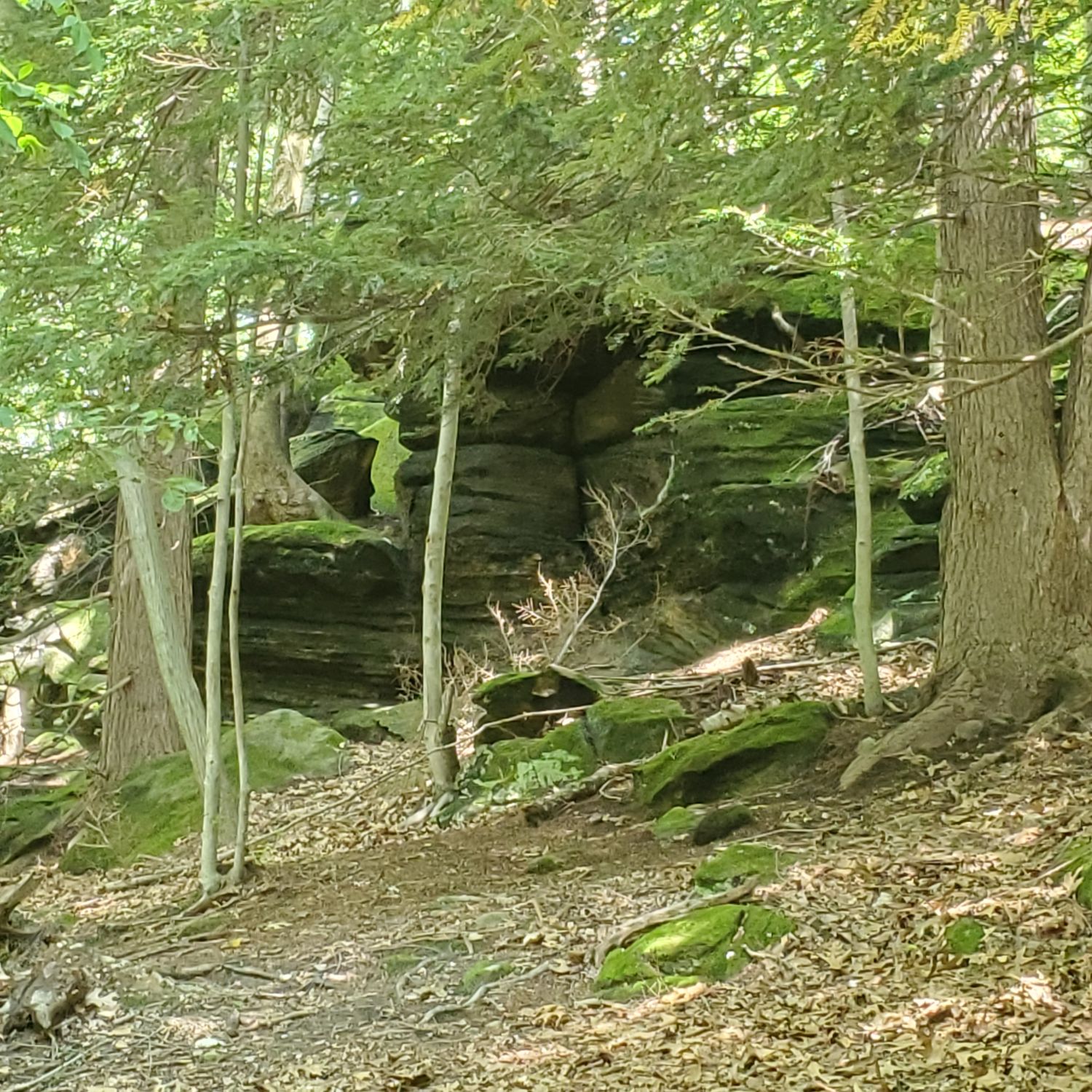 Ledges and Pine Grove Trails 